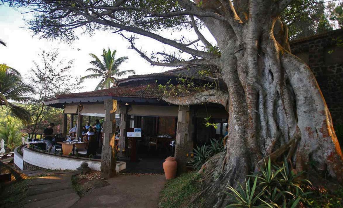 Niraamaya Wellness Retreats, Surya Samudra, Kovalam Esterno foto