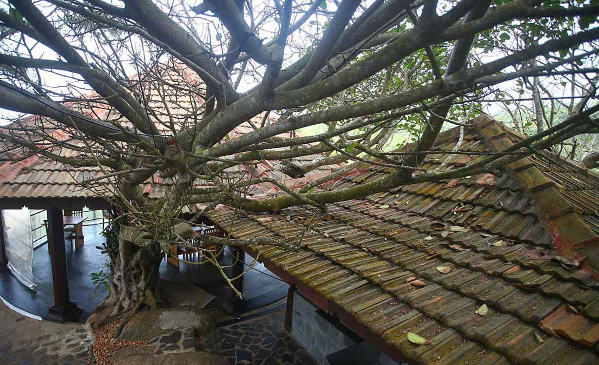 Niraamaya Wellness Retreats, Surya Samudra, Kovalam Esterno foto
